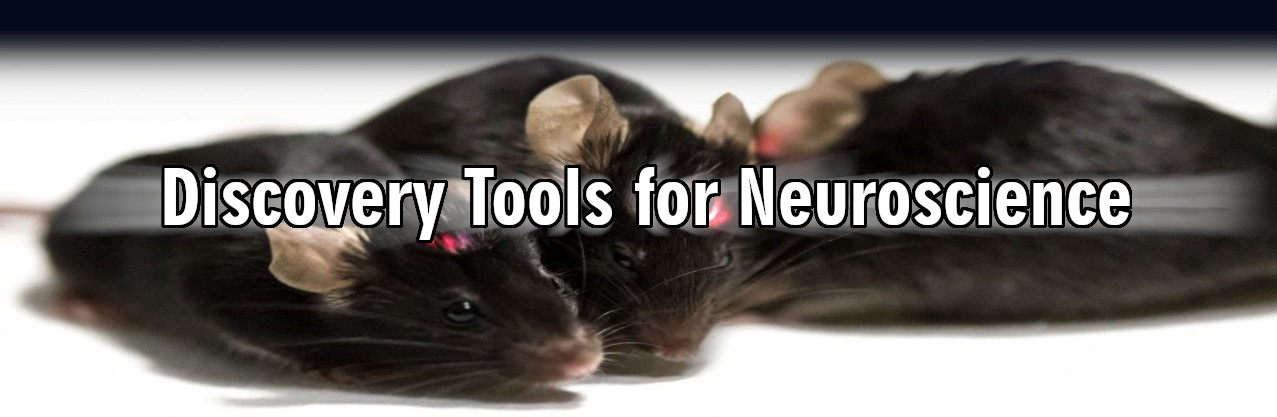 CREATOR: gd-jpeg v1.0 (using IJG JPEG v62), quality = 82